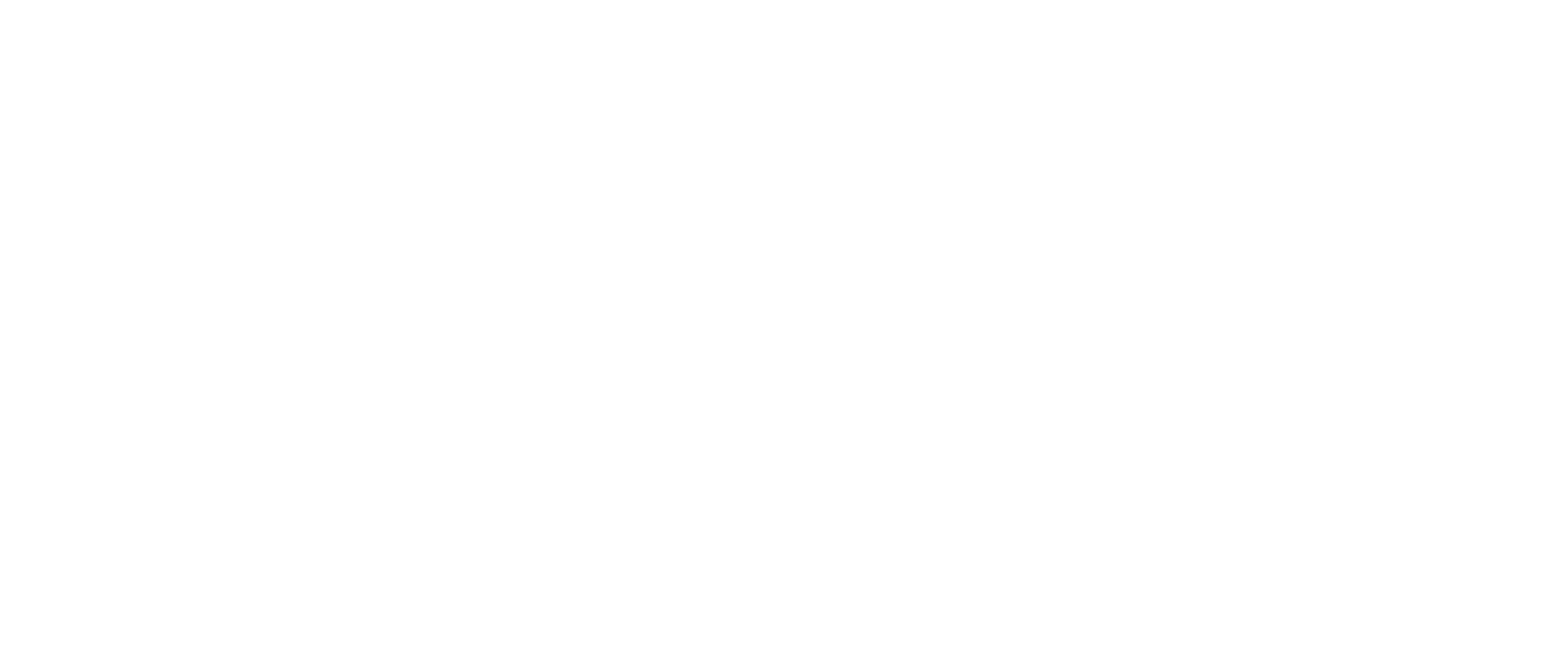 nXlvl Logo Horizontal White